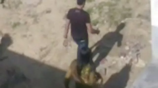 Quý cô cổ phim sec m ...