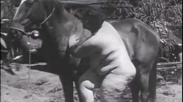Tuyệt vời mẹ nửa Pet ...