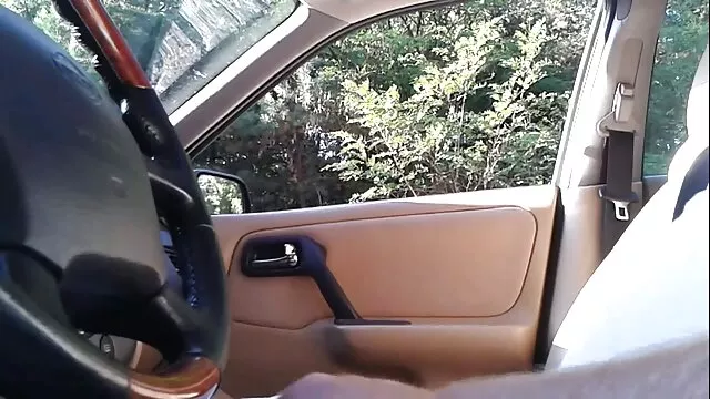 Alexis là hoàn hảo,  ...